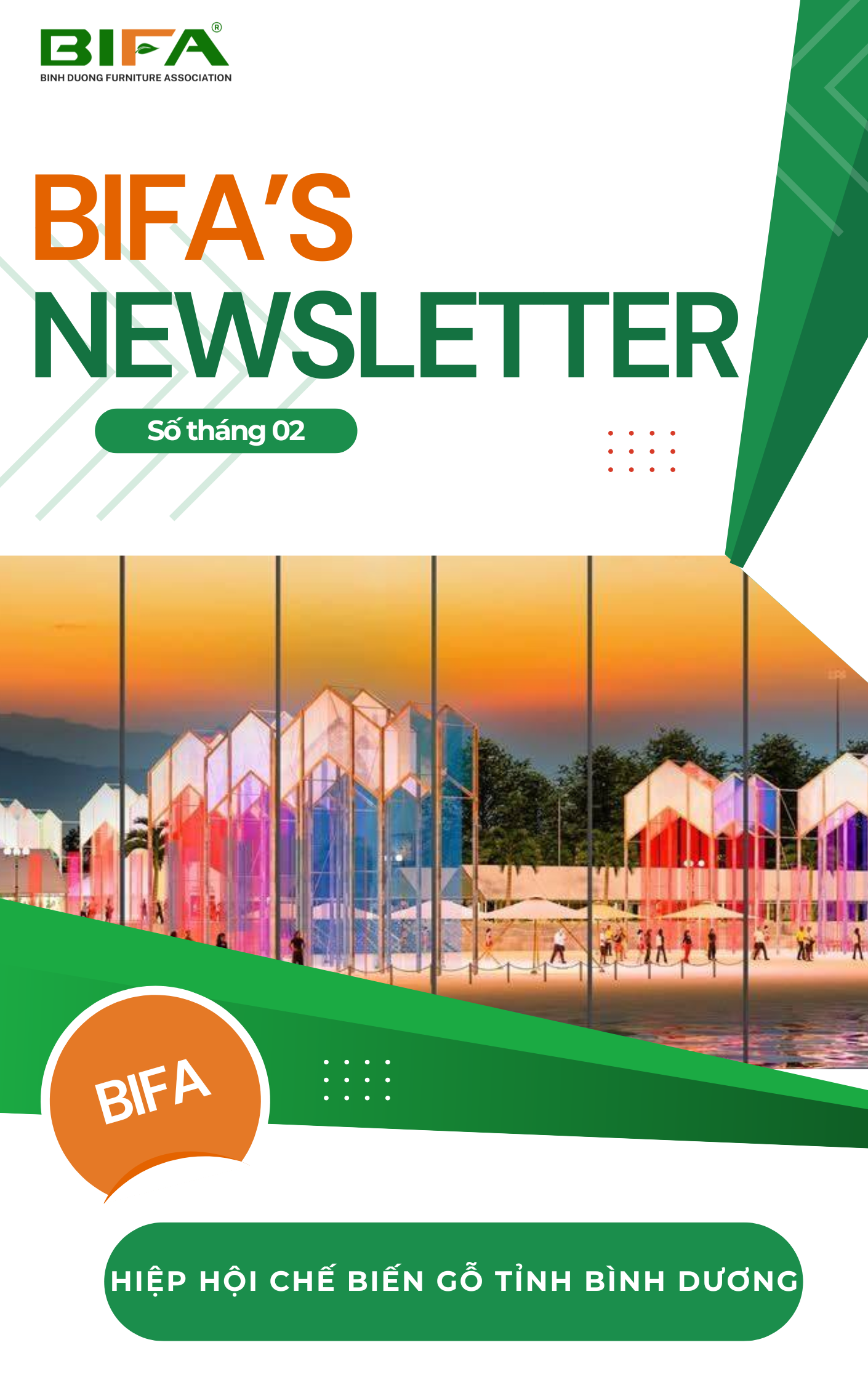 BIFA NEWSLETTER - FEBRUARY 2025